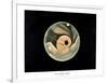 Mars, 1877-Science, Industry and Business Library-Framed Photographic Print