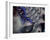 MARS 3-RUNA-Framed Giclee Print