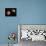 Mars and Deimos, Artwork-null-Photographic Print displayed on a wall