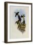 Mars, Heliangelus Mavors-John Gould-Framed Giclee Print