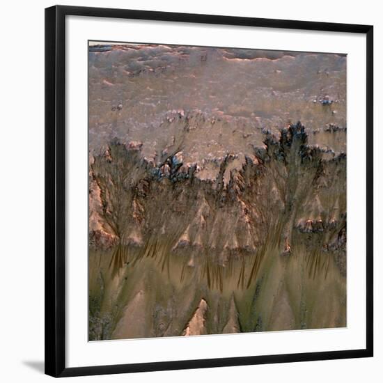 Mars Landscape Showing Flows That Appear in Spring and Summer on a Slope Inside Mars' Newton Crater-null-Framed Photo