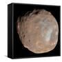 Mars Moon Phobos-Stocktrek Images-Framed Stretched Canvas