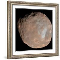 Mars Moon Phobos-Stocktrek Images-Framed Photographic Print