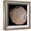 Mars Moon Phobos-Stocktrek Images-Framed Photographic Print