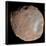 Mars Moon Phobos-Stocktrek Images-Framed Photographic Print