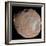 Mars Moon Phobos-Stocktrek Images-Framed Photographic Print