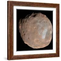 Mars Moon Phobos-Stocktrek Images-Framed Photographic Print