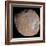 Mars Moon Phobos-Stocktrek Images-Framed Photographic Print