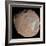 Mars Moon Phobos-Stocktrek Images-Framed Photographic Print