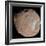 Mars Moon Phobos-Stocktrek Images-Framed Photographic Print