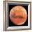 Mars, the Schiaparelli Hemisphere-Digital Vision.-Framed Photographic Print