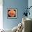 Mars, the Schiaparelli Hemisphere-Digital Vision.-Framed Photographic Print displayed on a wall