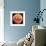 Mars, the Schiaparelli Hemisphere-Digital Vision.-Framed Photographic Print displayed on a wall