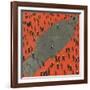 Mars Tied Down-Erich Schilling-Framed Art Print