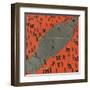 Mars Tied Down-Erich Schilling-Framed Art Print