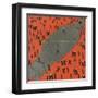 Mars Tied Down-Erich Schilling-Framed Art Print