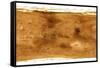 Mars Topographical Map, Satellite Image-Detlev Van Ravenswaay-Framed Stretched Canvas