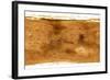 Mars Topographical Map, Satellite Image-Detlev Van Ravenswaay-Framed Premium Photographic Print