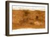 Mars Topographical Map, Satellite Image-Detlev Van Ravenswaay-Framed Premium Photographic Print