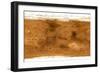 Mars Topographical Map, Satellite Image-Detlev Van Ravenswaay-Framed Premium Photographic Print