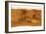 Mars Topographical Map, Satellite Image-Detlev Van Ravenswaay-Framed Photographic Print