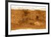 Mars Topographical Map, Satellite Image-Detlev Van Ravenswaay-Framed Photographic Print