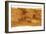 Mars Topographical Map, Satellite Image-Detlev Van Ravenswaay-Framed Photographic Print