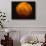 Mars-Stocktrek Images-Photographic Print displayed on a wall