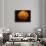 Mars-Stocktrek Images-Photographic Print displayed on a wall