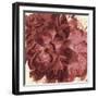 Marsala Peonies Square I-Patricia Pinto-Framed Art Print