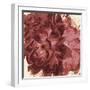 Marsala Peonies Square I-Patricia Pinto-Framed Art Print