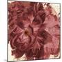 Marsala Peonies Square I-Patricia Pinto-Mounted Art Print