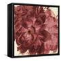 Marsala Peonies Square I-Patricia Pinto-Framed Stretched Canvas