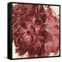 Marsala Peonies Square I-Patricia Pinto-Framed Stretched Canvas