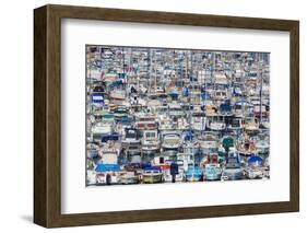 Marseille, Provence-Alpes-Cote d'Azur, France. Multitude of different leisure craft in the Vieux...-null-Framed Photographic Print