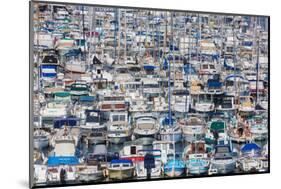 Marseille, Provence-Alpes-Cote d'Azur, France. Multitude of different leisure craft in the Vieux...-null-Mounted Photographic Print