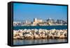 Marseille View-David Ionut-Framed Stretched Canvas
