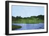 Marsh 2-Christine O’Brien-Framed Giclee Print