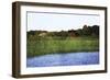 Marsh 3-Christine O’Brien-Framed Giclee Print