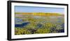 Marsh at edge of Lake Okeechobee, Florida, USA-null-Framed Photographic Print