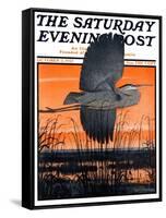 "Marsh Bird," Saturday Evening Post Cover, October 3, 1925-Paul Bransom-Framed Stretched Canvas