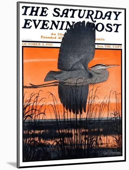 "Marsh Bird," Saturday Evening Post Cover, October 3, 1925-Paul Bransom-Mounted Giclee Print