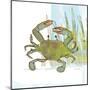 Marsh Crab-Robbin Rawlings-Mounted Art Print