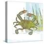 Marsh Crab-Robbin Rawlings-Stretched Canvas