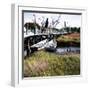 Marsh Harbor Square I-Alan Hausenflock-Framed Photographic Print