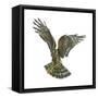 Marsh Hawk (Circus Cyaneus), Birds-Encyclopaedia Britannica-Framed Stretched Canvas