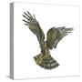 Marsh Hawk (Circus Cyaneus), Birds-Encyclopaedia Britannica-Stretched Canvas