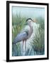 Marsh Heron I-Tim O'toole-Framed Art Print