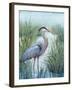 Marsh Heron I-Tim O'toole-Framed Art Print