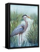 Marsh Heron I-Tim O'toole-Framed Stretched Canvas